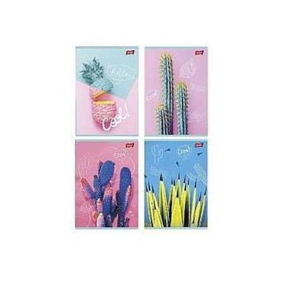 Opakowanie Zeszyt A5 Unipap 60 kartek w linie Kolekcja Cacti 10 sztuk