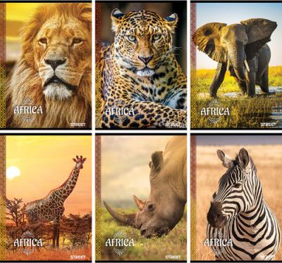 Opakowanie Zeszyt A5 w linie 54 kartki Street Africa 10 sztuk mix