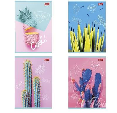 Opakowanie Zeszyt A5/60K linia Cacti (10szt)