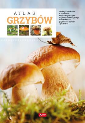 ATLAS GRZYBÓW. Autor: Kamiński Wiesław. SmakLiter.pl Okładka książki ATLAS GRZYBÓW