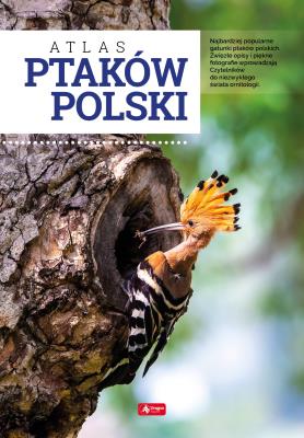 ATLAS PTAKÓW POLSKI. Autor: Anna Przybyłowicz. Łukasz Przybyłowicz. SmakLiter.pl Okładka książki ATLAS PTAKÓW POLSKI