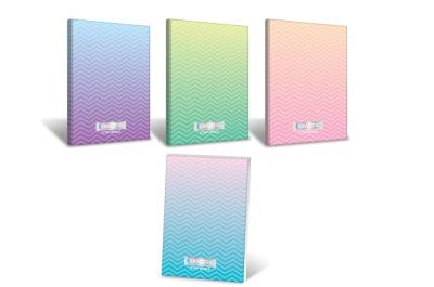 Opakowanie Brulion B5/160K kratka Ombre Powder pastel (4szt)
