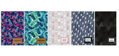 Opakowanie Brulion TO B5/160K kratka HD-374 Head (5szt) ASTRA