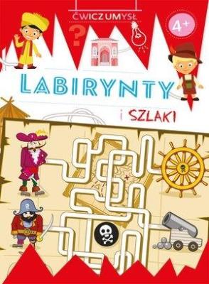 Okładka książki Ćwicz umysł. Labirynty i szlaki