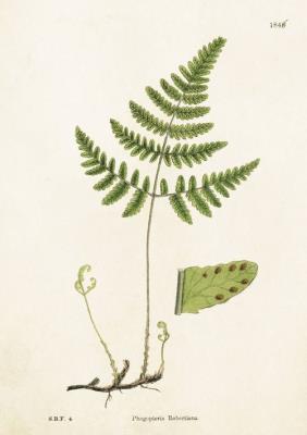 Opakowanie Karnet ST199 B6 + koperta Zachyłka