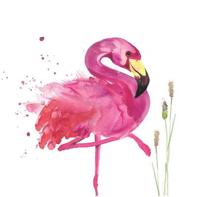 Opakowanie Karnet Swarovski kwadrat Flaming