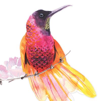 Opakowanie Karnet Swarovski kwadrat Koliber