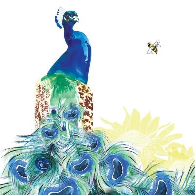 Opakowanie Karnet Swarovski kwadrat Paw