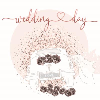 Opakowanie Karnet Swarovski kwadrat Ślub auto