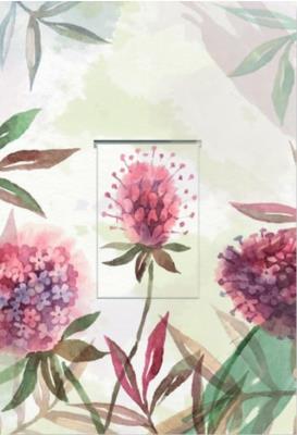 Opakowanie Karnet z zakładką magnetyczną 12x18 cm + koperta Mlecz