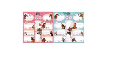 Opakowanie Naklejki na zeszyty Nice&Pretty Kids