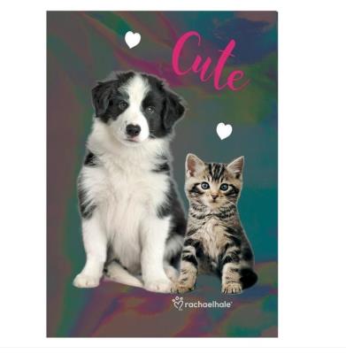 Notes A5 Rachel Hale holograficzny RLE-3680 PASO. Wydawca: Paso. SmakLiter.pl Opakowanie Notes A5 Rachel Hale holograficzny RLE-3680 PASO