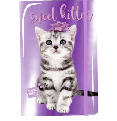 Notes A5 Studio Pets holograficzny PTC-3680 PASO. Wydawca: Paso. SmakLiter.pl Opakowanie Notes A5 Studio Pets holograficzny PTC-3680 PASO