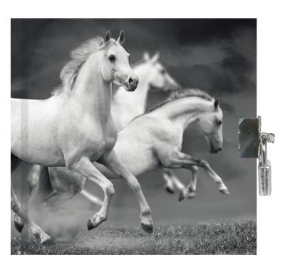 Opakowanie Pamiętnik z kłódką Horse PP19HS-3640 PASO