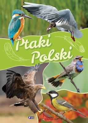 Ptaki Polski TW FENIX. Autor: Opracowanie zbiorowe. SmakLiter.pl Okładka książki Ptaki Polski TW FENIX