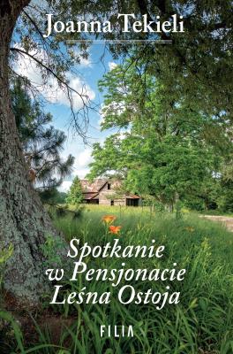 Spotkanie w Pensjonacie Leśna Ostoja. Autor: Joanna Tekieli. SmakLiter.pl Okładka książki Spotkanie w Pensjonacie Leśna Ostoja