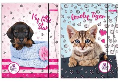 Opakowanie Teczka z gumką A4 Kids 2 wzory