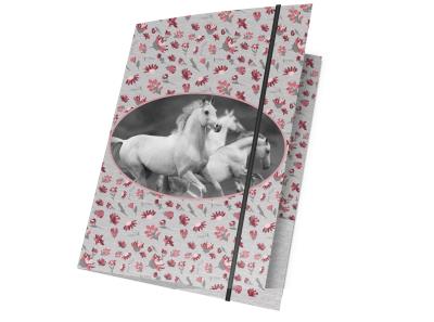 Opakowanie Teczka z gumką A4 PP19HS-109 PASO