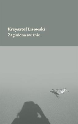 Okładka książki Zaginiona we śnie