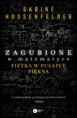 Okładka książki ZAGUBIONE W MATEMATYCE FIZYKA W PUŁAPCE PIĘKNA