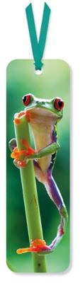 Opakowanie Zakładka do książki Red Eyed Frog (opakowanie 2 sztuki)