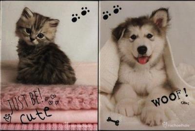 Opakowanie Zeszyt A4 Rachel Hale 54 kartki w kratkę 10 sztuk