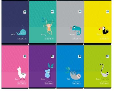 Opakowanie Zeszyt A5/32K linia kolorowa B&B Tropical (10szt)