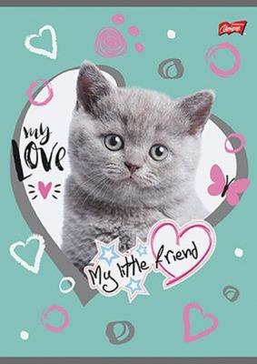 Opakowanie Zeszyt A5 My Little Friend 32 kartki w kratkę 15 sztuk