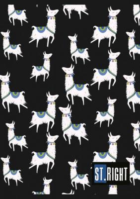 Opakowanie Zeszyt A5 St.Right 32 kartek w kratkę 15 sztuk