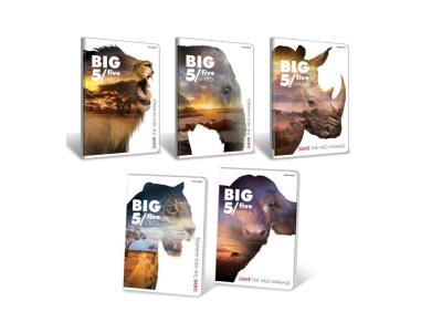 Opakowanie Zeszyt A5/60K kratka Big 5 (10szt)