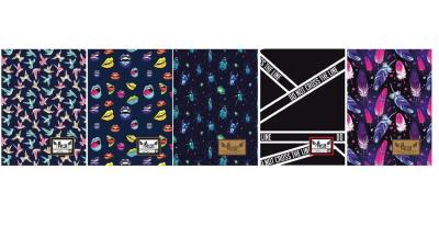 Opakowanie Zeszyt MO A4/60K kratka HD-155 (10szt) ASTRA