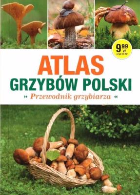 Atlas Grzybów Polski. Poradnik Grzybiarza. Autor: praca zbiorowa. SmakLiter.pl Okładka książki Atlas Grzybów Polski. Poradnik Grzybiarza