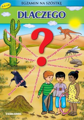 Dlaczego? Egzamin na szóstkę. Autor: Warzecha Teresa, Tamara Bolanowska. SmakLiter.pl Okładka książki Dlaczego? Egzamin na szóstkę