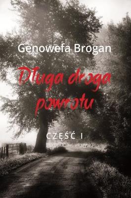Okładka książki Długa droga powrotu T.1
