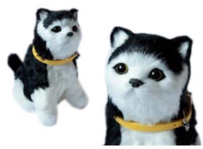 Opakowanie Interaktywny kotek czrno-biały