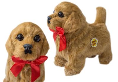 Opakowanie Interaktywny piesek chodzący - Golden