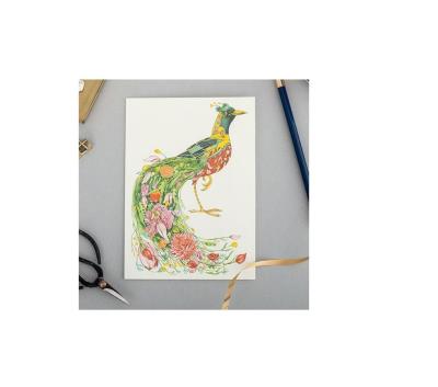 Opakowanie Karnet A087 B6 + koperta Rajski ptak