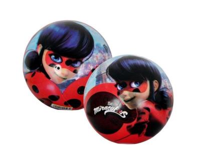 Opakowanie Piłka licencyjna Biedronka i Czarny Kot 23 cm