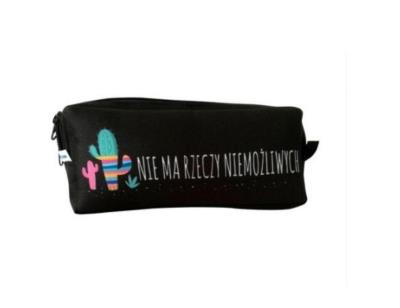 Piórnik dwukomorowy PDM6007 Kaktus MESIO. Wydawca: MESIO.PL. SmakLiter.pl Opakowanie Piórnik dwukomorowy PDM6007 Kaktus MESIO