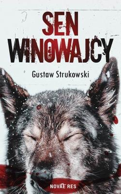Okładka książki Sen winowajcy
