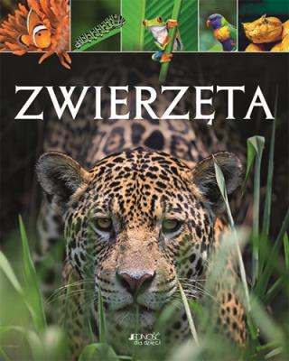 ZWIERZĘTA. Autor: Opracowanie zbiorowe. SmakLiter.pl Okładka książki ZWIERZĘTA