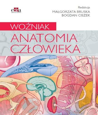 Okładka książki Anatomia człowieka. Woźniak