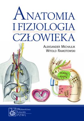 Anatomia i fizjologia człowieka w.2013 PZWL. Autor: Aleksander Michajlik, Ramotowski  Witold. SmakLiter.pl Okładka książki Anatomia i fizjologia człowieka w.2013 PZWL