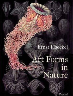 Art Forms in Nature Prints of Ernst Haeckel. Wydawca: Prestel. SmakLiter.pl Opakowanie Art Forms in Nature Prints of Ernst Haeckel