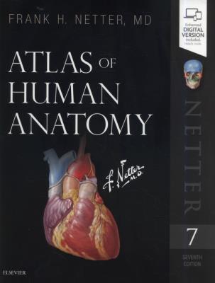 Atlas of Human Anatomy 7th Edition. Autor: Netter Frank H.. SmakLiter.pl Okładka książki Atlas of Human Anatomy 7th Edition