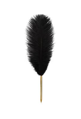 Opakowanie Długopis z piórem czarne