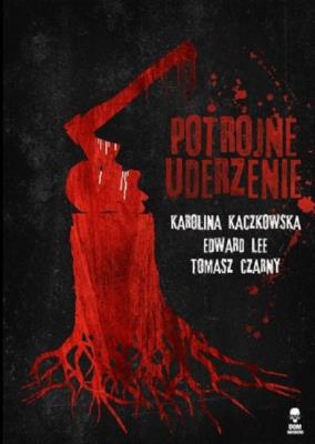 Potrójne uderzenie. Autor: Kaczkowska Karolina, Lee Edward, Czarny Tomasz. SmakLiter.pl Okładka książki Potrójne uderzenie