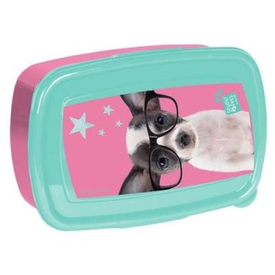 Opakowanie Śniadaniówka Studio Pets PTD-3022 PASO