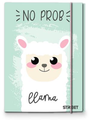 Opakowanie Teczka A4 z gumką Pink Street