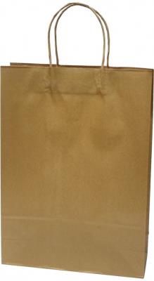 Opakowanie Torba prezentowa creative eko duża naturalna 10 sztuk